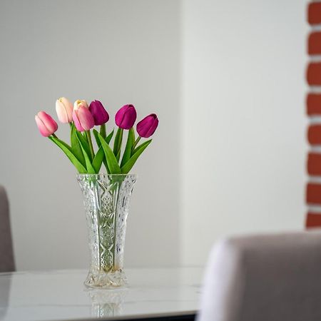 Apartment Gioia Rovinj Dış mekan fotoğraf