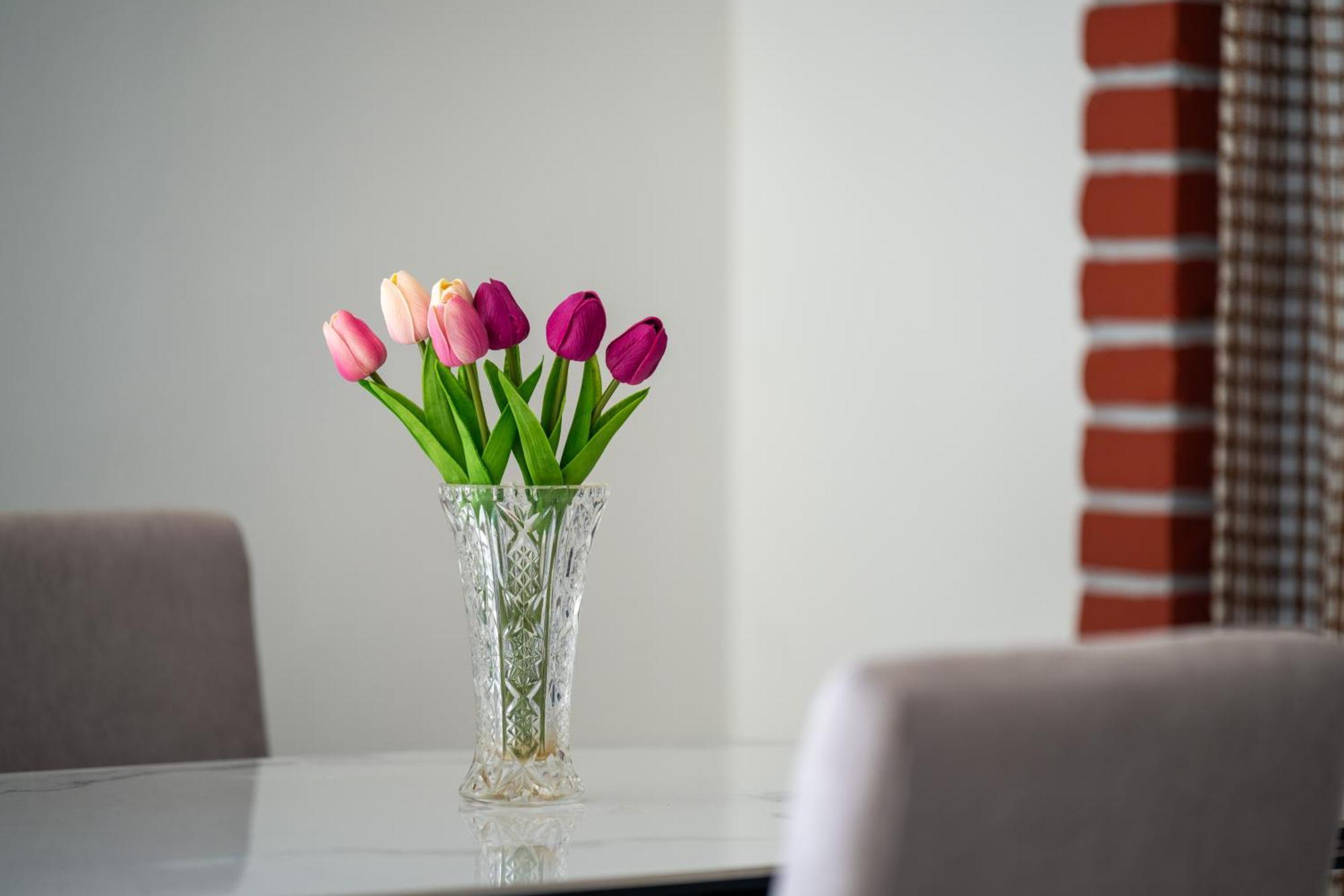Apartment Gioia Rovinj Dış mekan fotoğraf